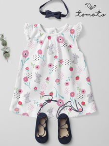Flying Sleeves Baby Dress